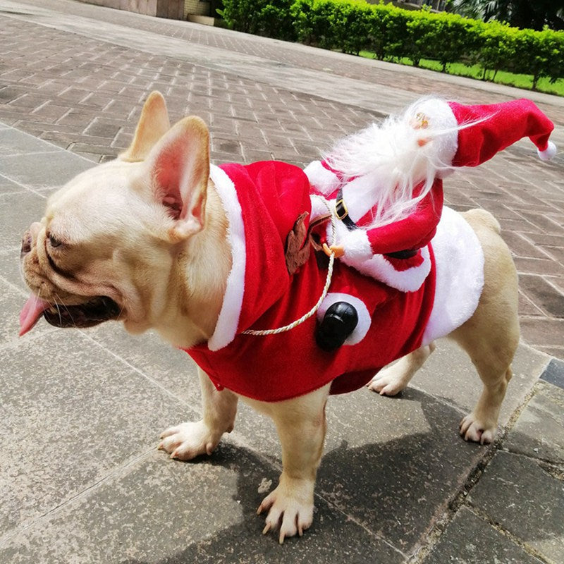 Santa Claus Pet Custom