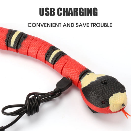 Smart Sensing Snake