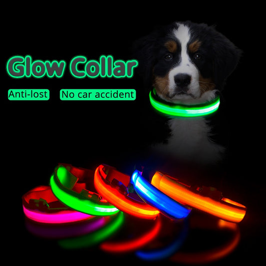 Glow Collar