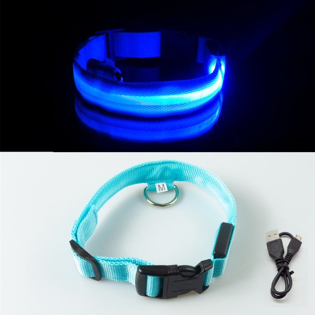 Glow Collar