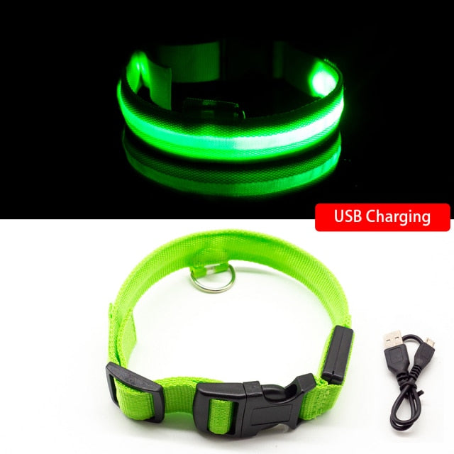 Glow Collar