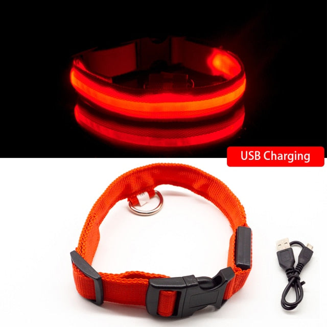 Glow Collar