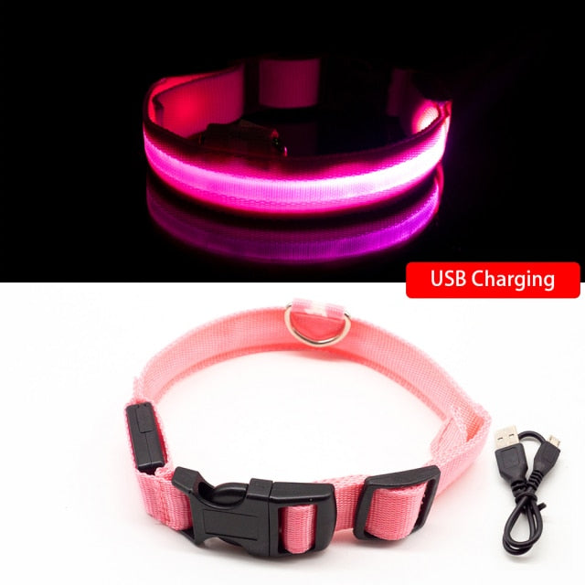 Glow Collar