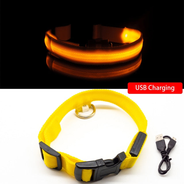 Glow Collar