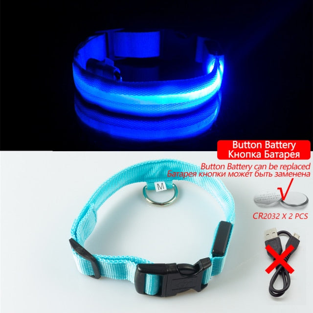 Glow Collar