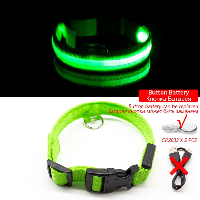 Glow Collar