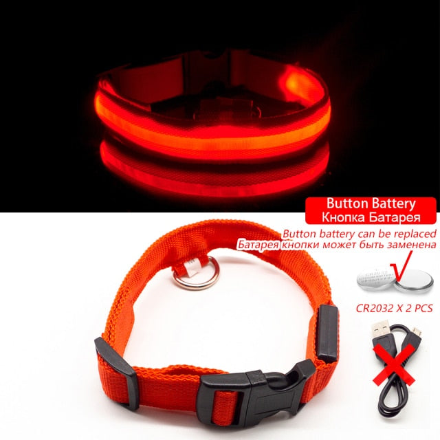 Glow Collar