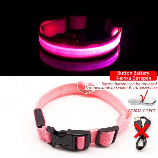 Glow Collar