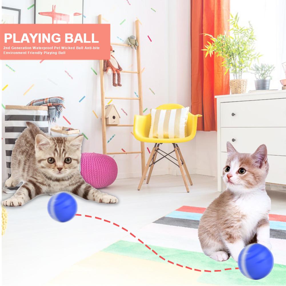 Remote Control Pet Bounce Ball