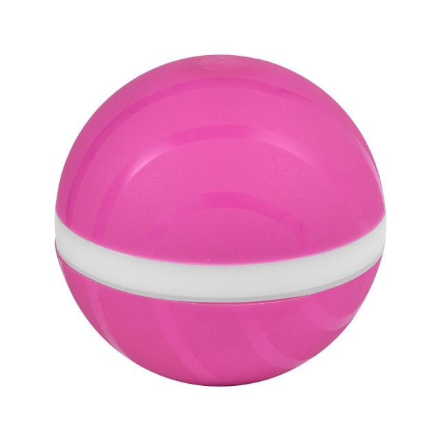 Remote Control Pet Bounce Ball